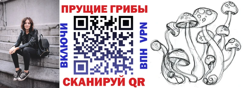 кракен маркетплейс  Ухта  Галлюциногенные грибы MAGIC MUSHROOMS 