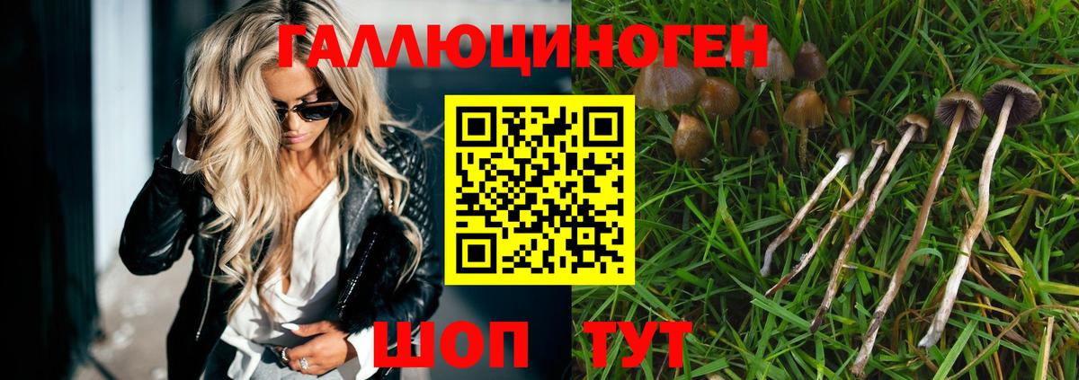 Ухта  цена   Вход с VPN  Галлюциногенные грибы GOLDEN TEACHER 