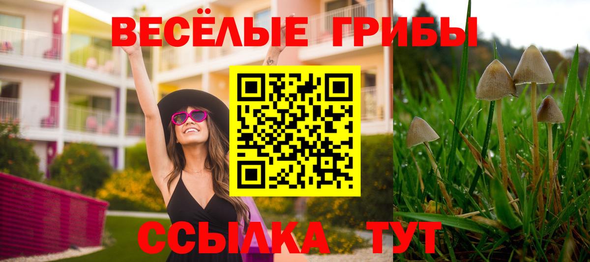 Псилоцибиновые грибы GOLDEN TEACHER Ухта